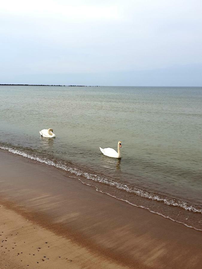 Palanga Apartments Near Baltic Sea エクステリア 写真