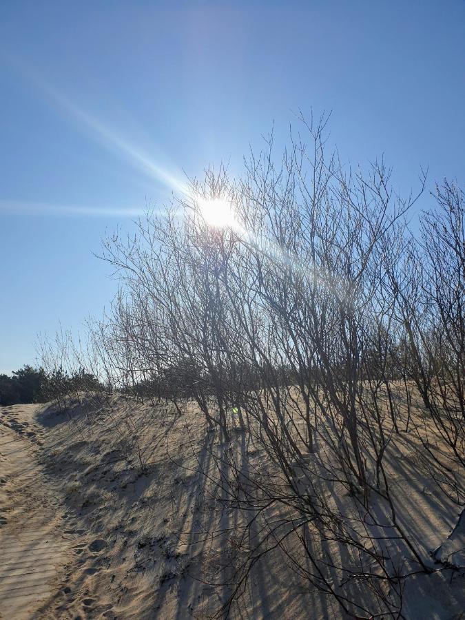 Palanga Apartments Near Baltic Sea エクステリア 写真