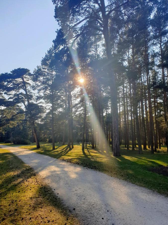 Palanga Apartments Near Baltic Sea エクステリア 写真